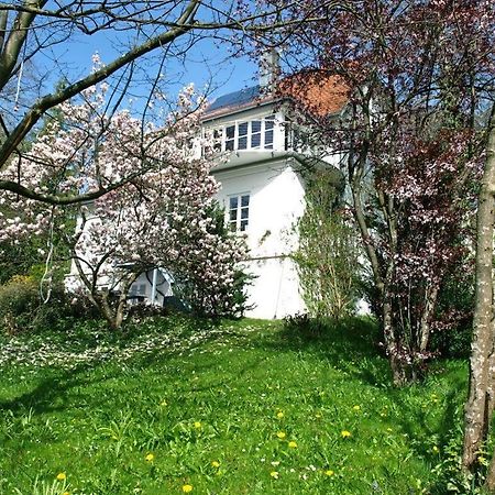 Ferienwohnung Dausacker 阿默湖畔乌廷 外观 照片