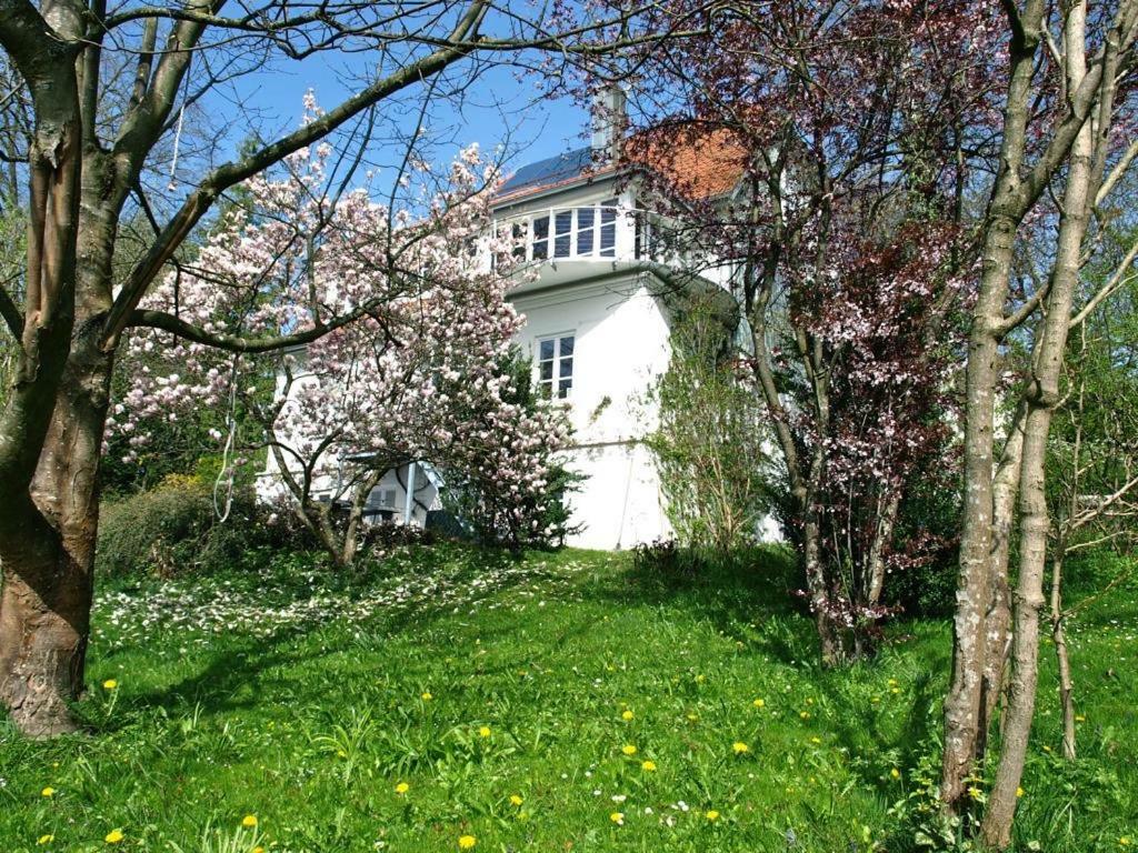 Ferienwohnung Dausacker 阿默湖畔乌廷 外观 照片